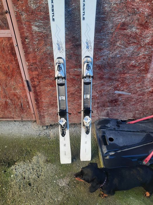 Schiuri și clăpari