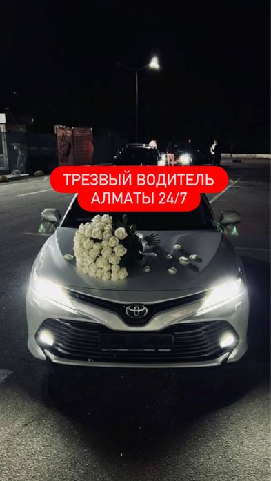 Трезвый водитель