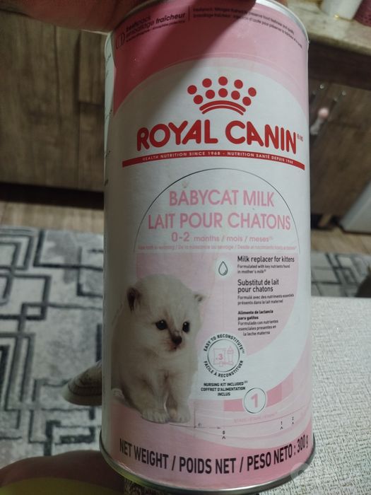 Смесь для котят молоко