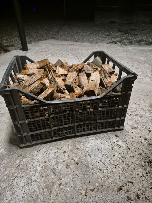 Iasca de fag pentru fum la albine