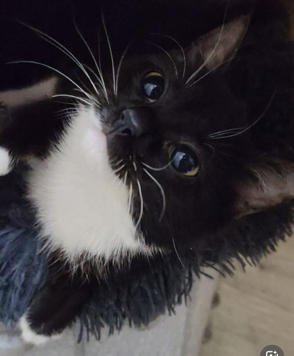 Симпатишная девчуля