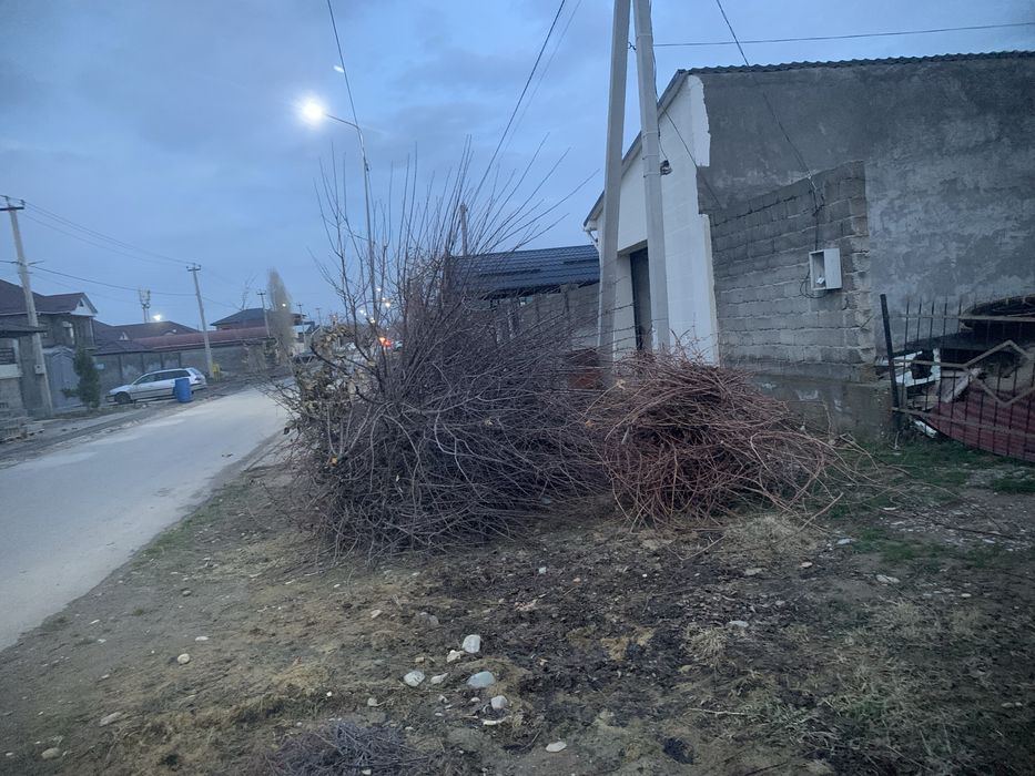 Дрова отын самовывоз после распила