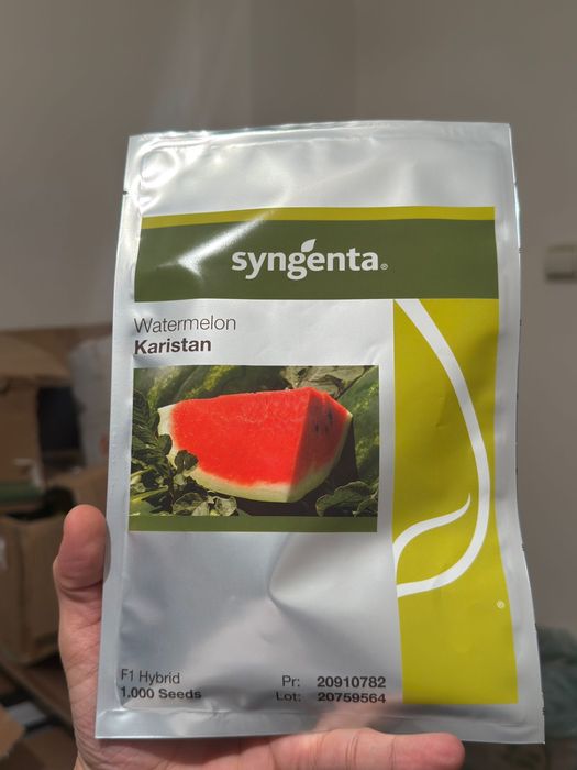 Каристан семена…..