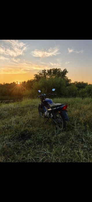 Racer tiger rc150-23