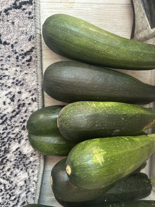 Продам качабки маленькие