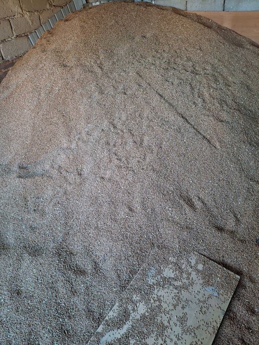 Grâu de vanzare 19 ron banicioru