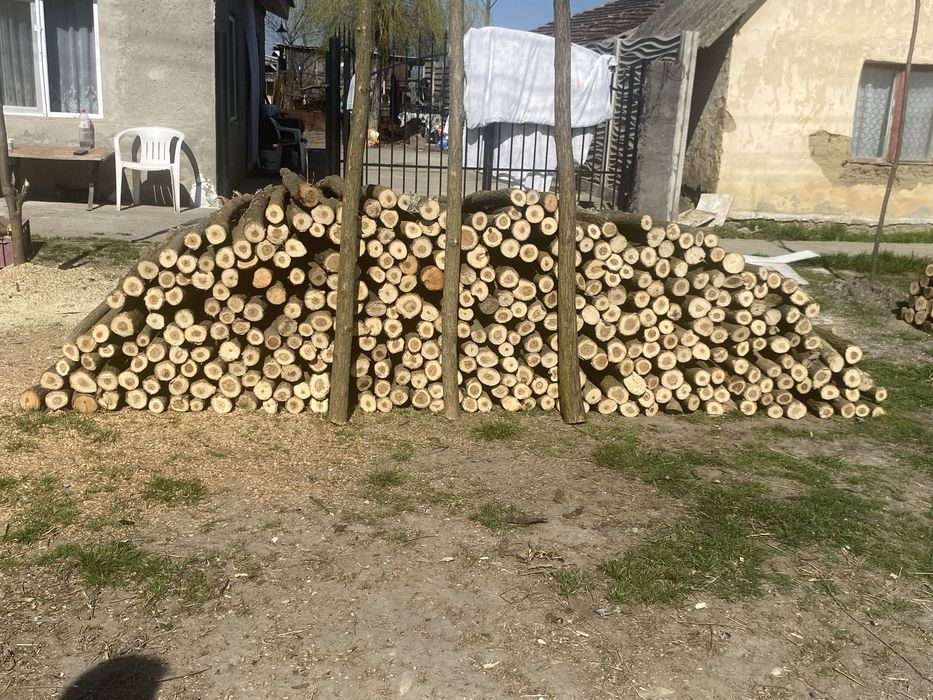 Pari sau stalpi de gard electric