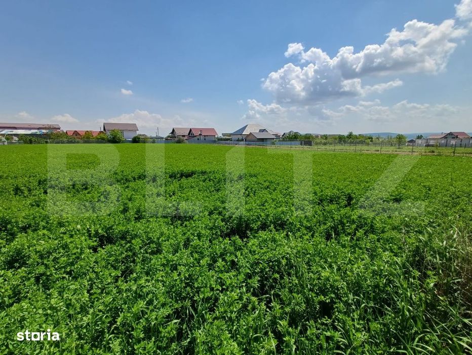 Teren de vanzare intravilan, 72 ari, zona Salcea