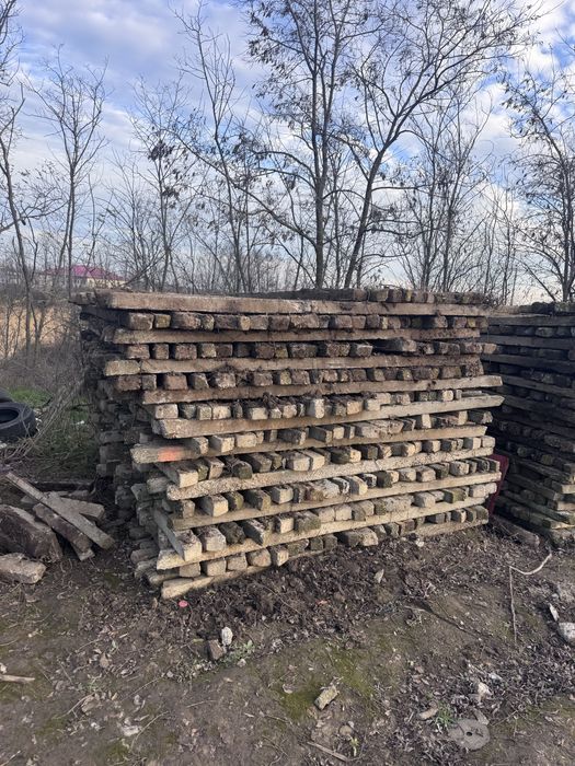 Vand spalieri vie din defrisare