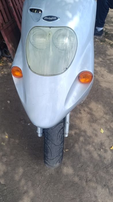 Vând malaguti f10