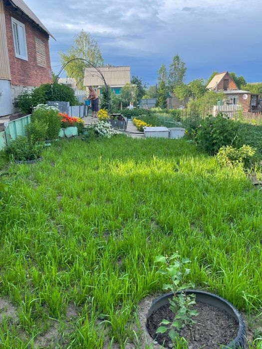 Дача. Летний дом