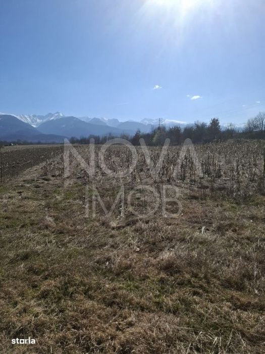 Teren extravilan de vanzare - Arpasul de Sus