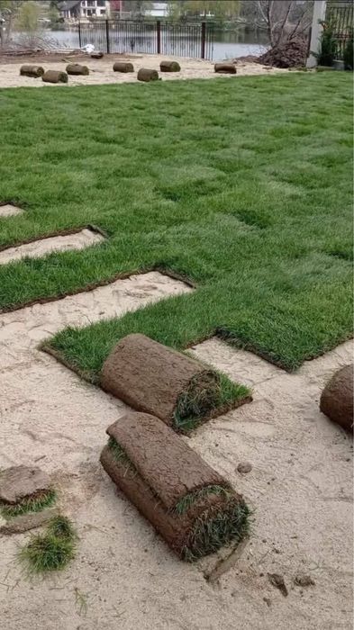 Gazon Rulou si Sisteme de Irigat