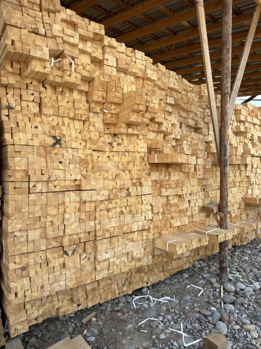 Sosna reykasi (Rossiya) | Arzon narxda