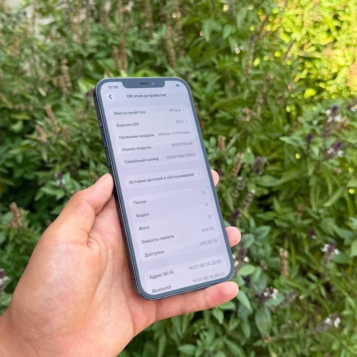 IPhone 12 Pro Max 256 Gb ideal