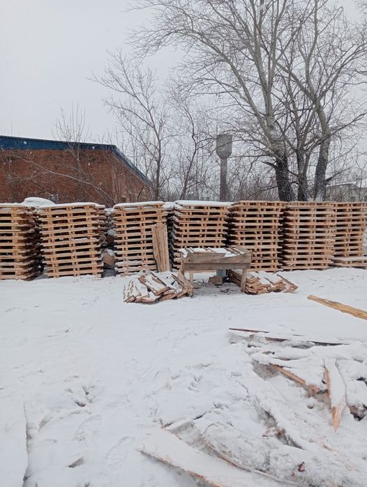 Продам   новые поддоны