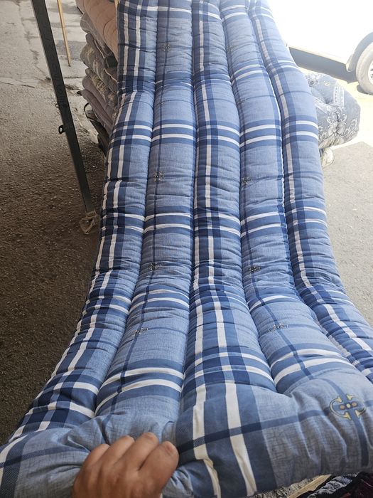 Korpa toshak kapilektlar