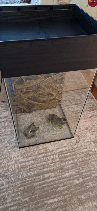 Продам террариум