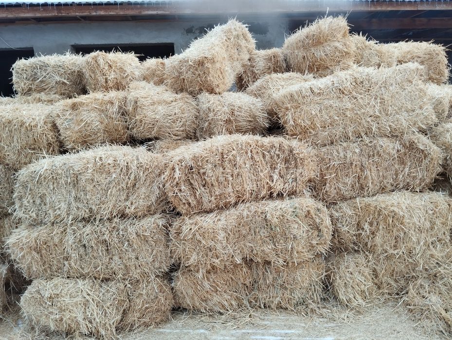 Посёлок Джамбул сено на продажу