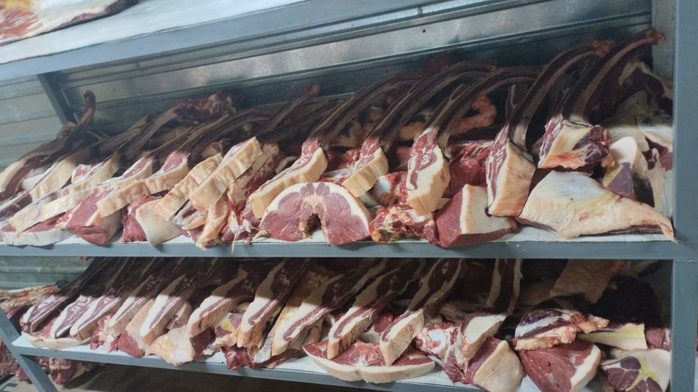 Продам мясо от конины