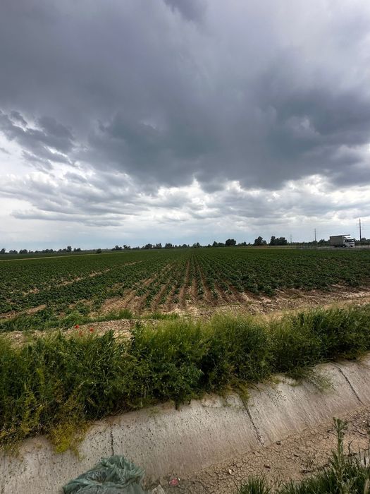 Teren 5000 mp Lungulețu – lângă Piața de Gross