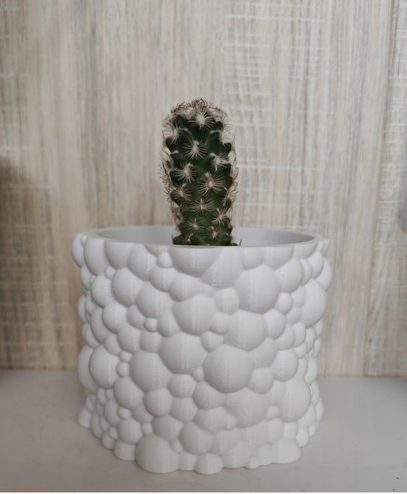 Стильные и современные вазы и горшки для ваших растений!