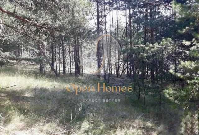 Продава се Земеделски имот в с. Добралък, Област Пловдив -  кв.м за 2270 €/дка - Снимка #3