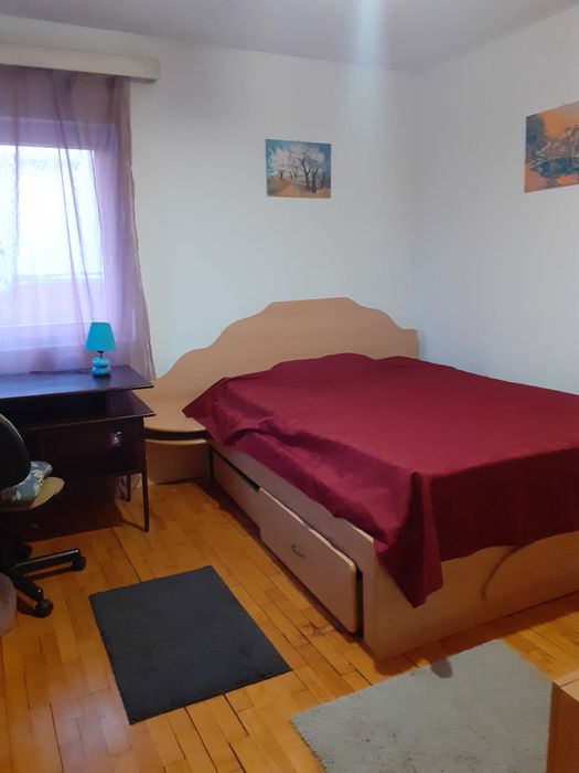 Informatician caut coleg de apartament