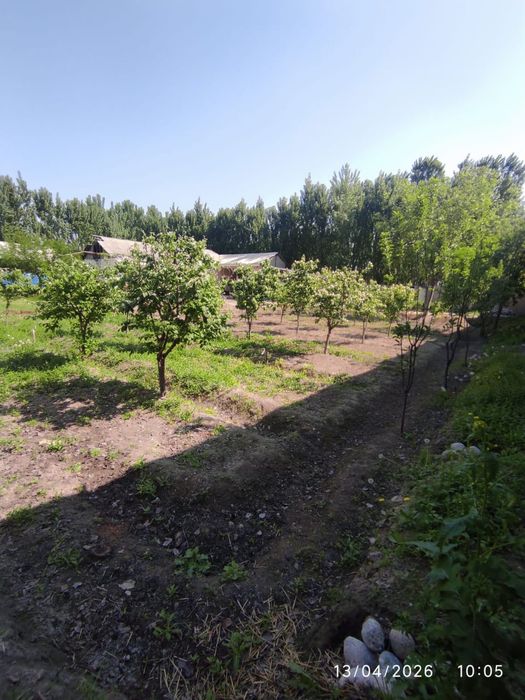 Ер сотилади 9 сотх