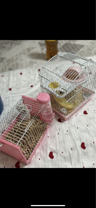 Продается хомяки с кормом и с опилками