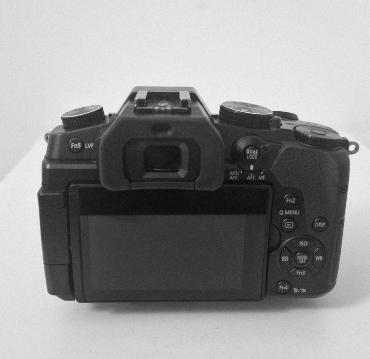 Panasonic Lumix G80 + 12-60 mm + 45-200 mm