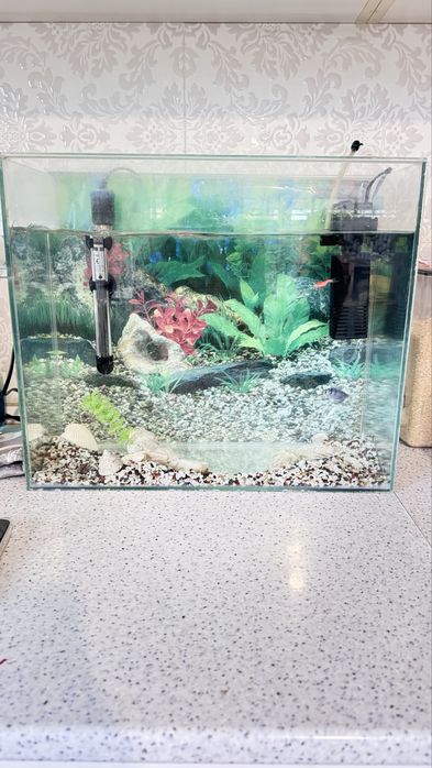 Аквариум большой