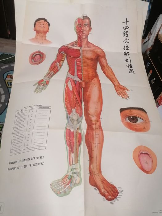 Carte acupunctură și cele 14 meridiane