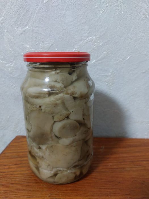 Грибы соленые валуи