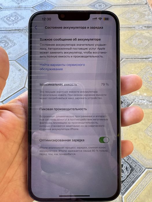 iPhone 13 Pro Max 256