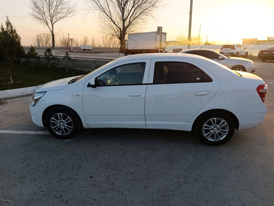 Yangi  2026 yilKoblt msm stayl  sotiladi