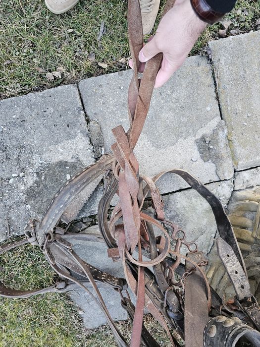 Ham , căpăstru si hățuri