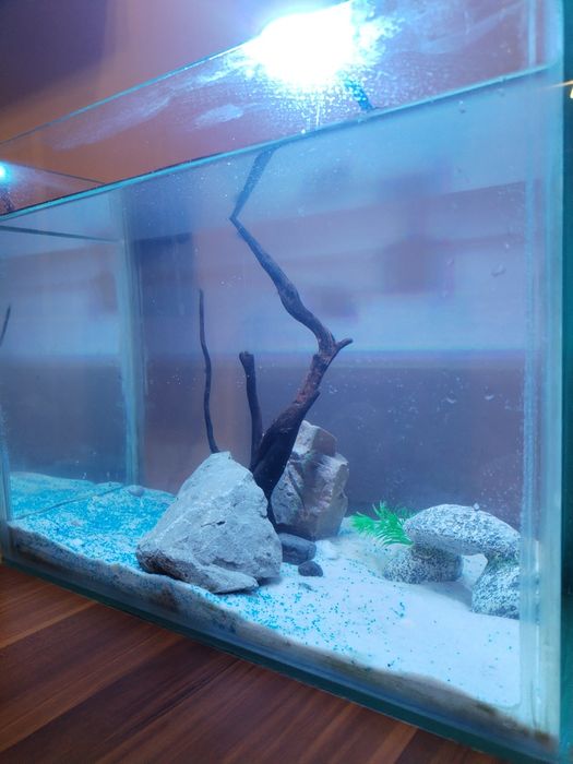 Vând acvariu de 40 de litri