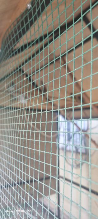 Продоётция валер кафас с питицами