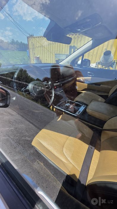 Kia carnival miniven
