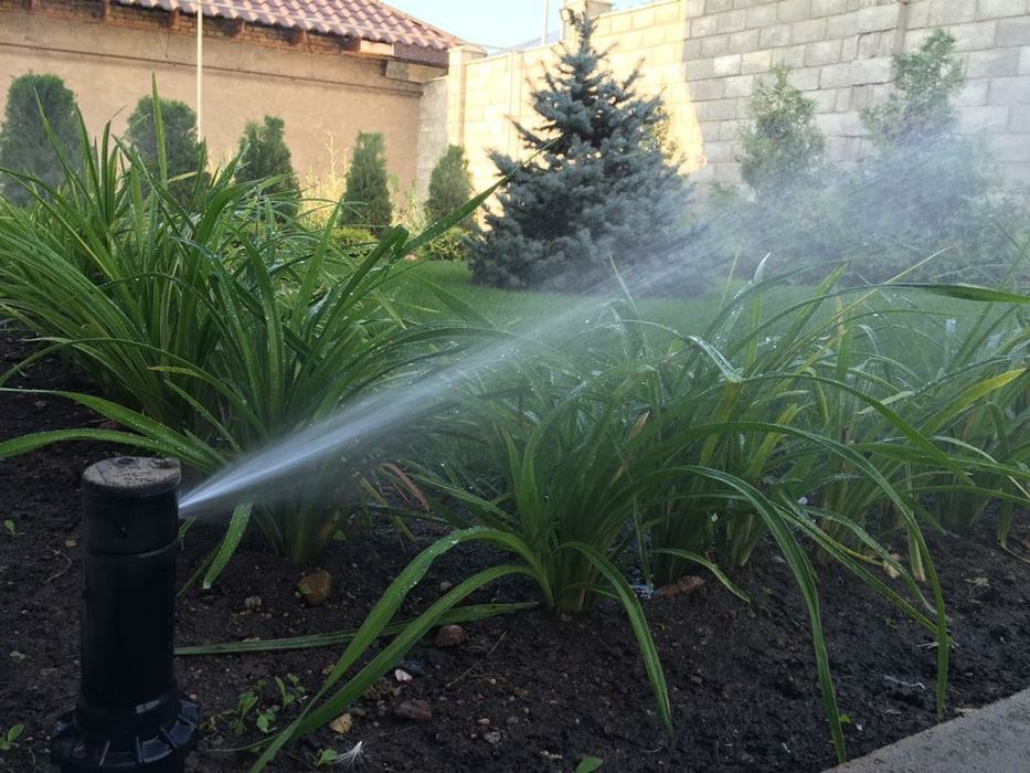 Автополив под ключ