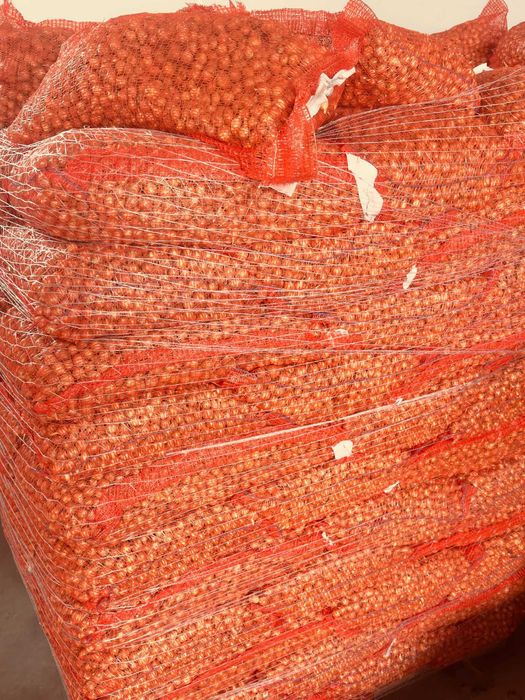 Vand ARPAGIC Olanda - calitate superioara