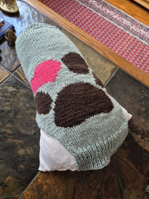 Haina tricotata catel