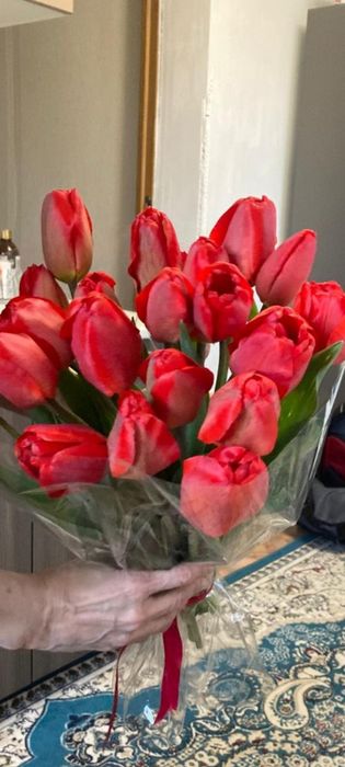 Продам тюльпаны садовые