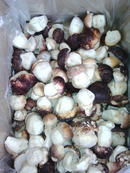 Предлагаме замразена Манатарка