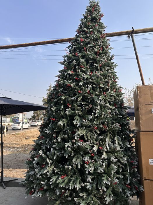 Елка 5 метровая