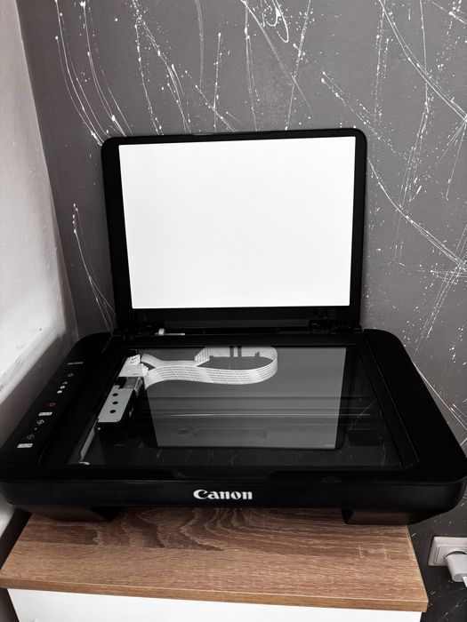 Принтер Canon Pixma MG2550s