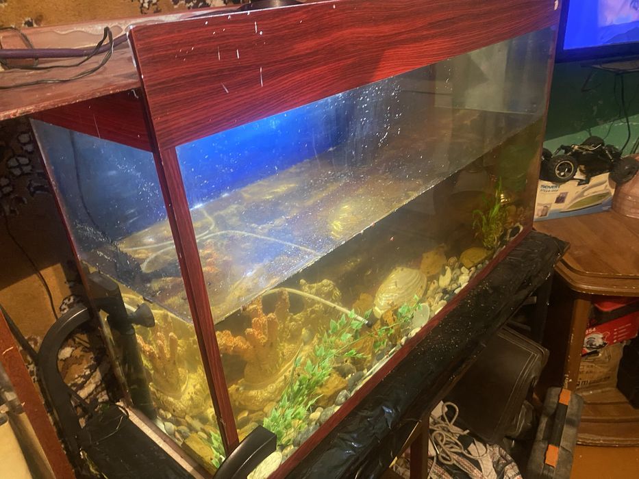 Прдается аквариум с столом