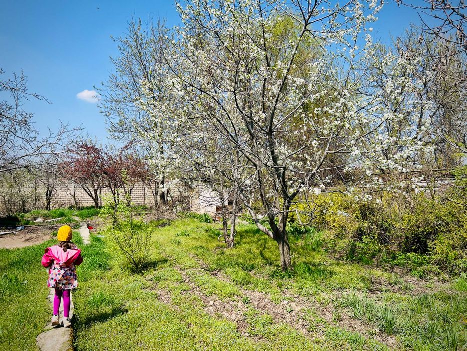 Дом на участке 15 соток. Мирзо Улугбекский район (Чингелди)