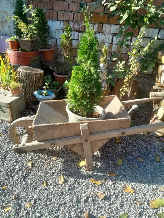 Roaba veche lemn